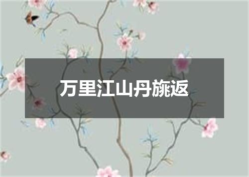 万里江山丹旐返