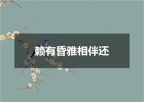 赖有昏雅相伴还