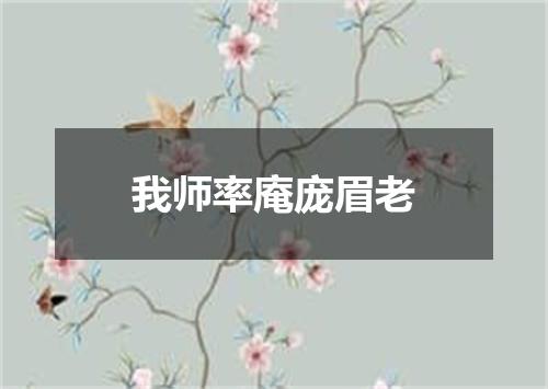 我师率庵庞眉老