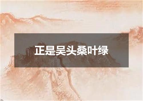 正是吴头桑叶绿