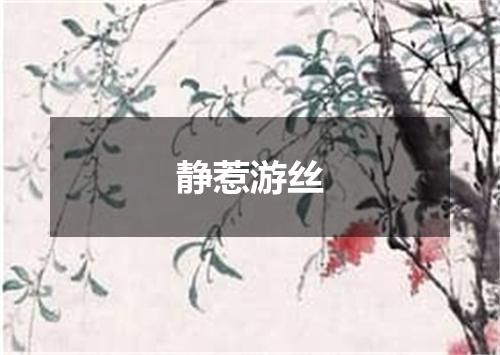 静惹游丝