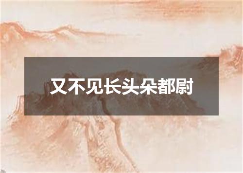 又不见长头朵都尉