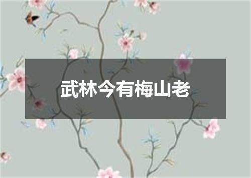 武林今有梅山老