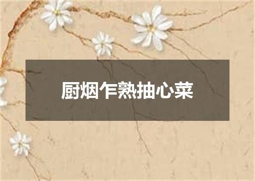 厨烟乍熟抽心菜