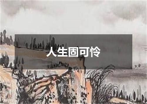 人生固可怜