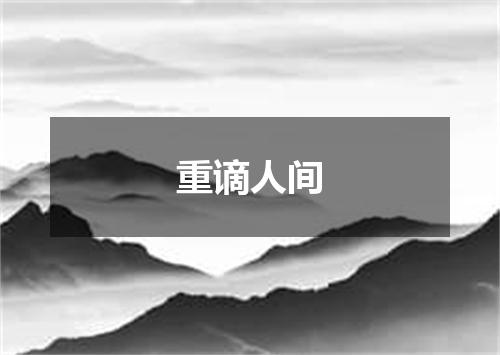 重谪人间