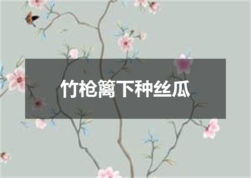 竹枪篱下种丝瓜