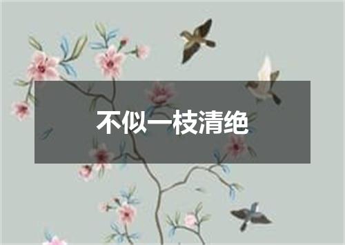 不似一枝清绝