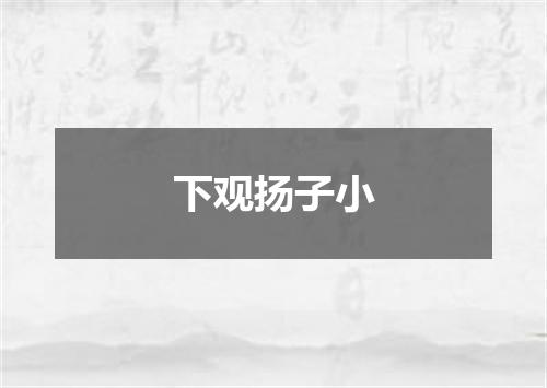 下观扬子小