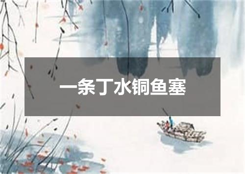 一条丁水铜鱼塞