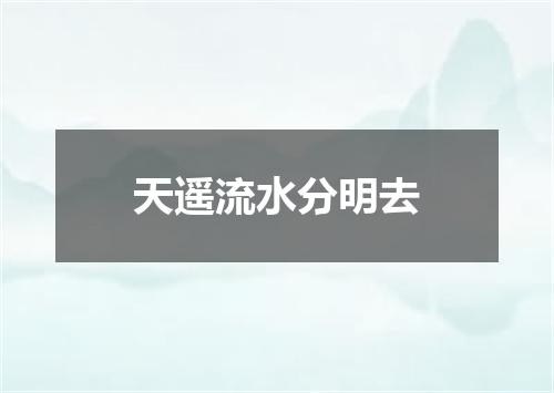 天遥流水分明去