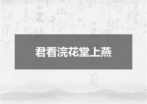 君看浣花堂上燕