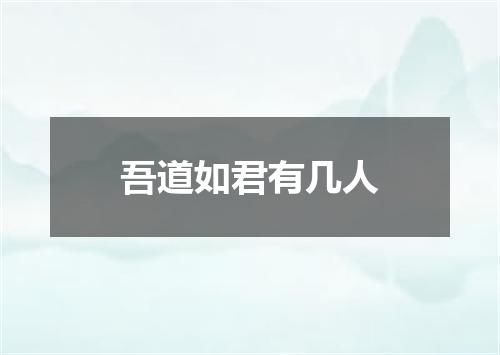 吾道如君有几人