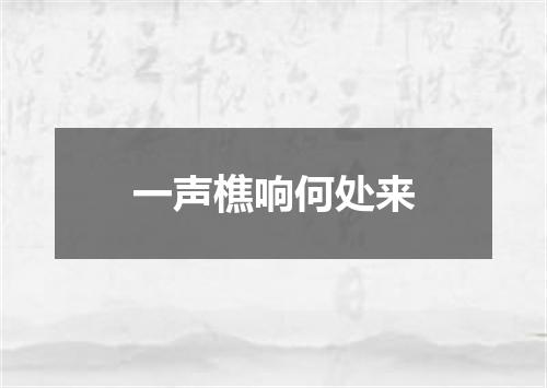 一声樵响何处来