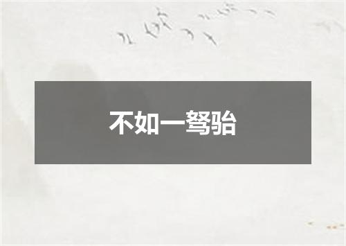 不如一驽骀