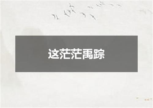 这茫茫禹踪