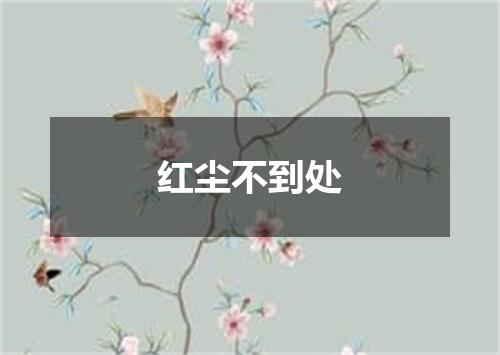 红尘不到处