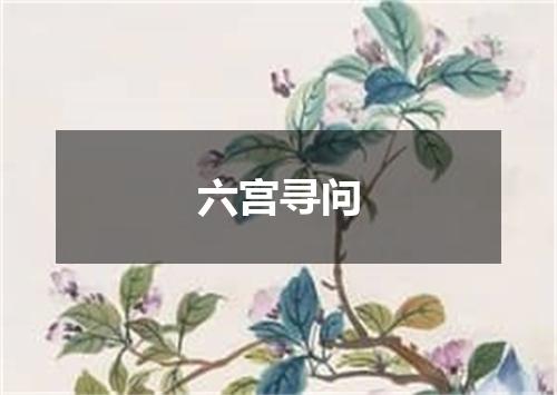 六宫寻问