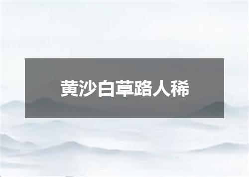 黄沙白草路人稀
