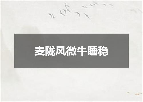 麦陇风微牛睡稳