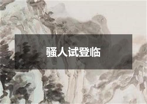 骚人试登临