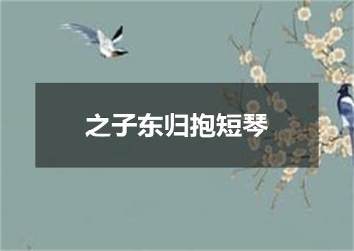 之子东归抱短琴