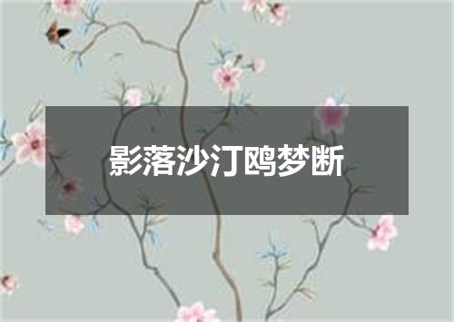 影落沙汀鸥梦断