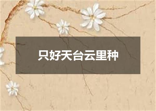 只好天台云里种
