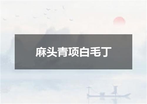 麻头青项白毛丁