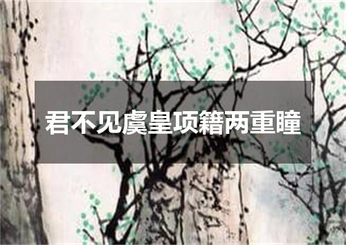 君不见虞皇项籍两重瞳