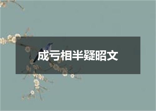 成亏相半疑昭文