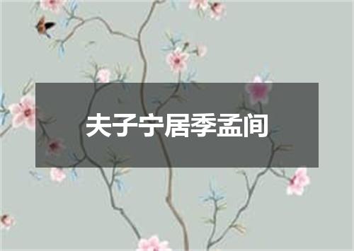 夫子宁居季孟间