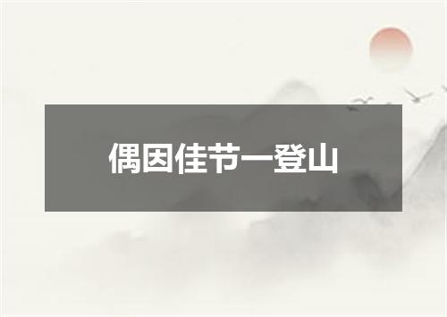 偶因佳节一登山