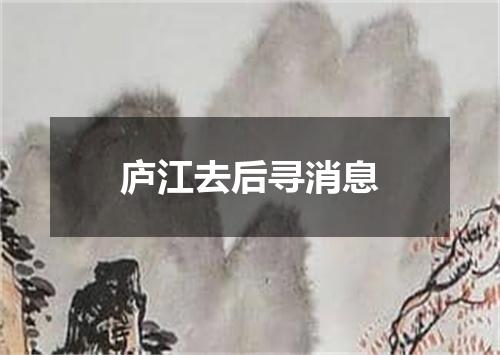 庐江去后寻消息
