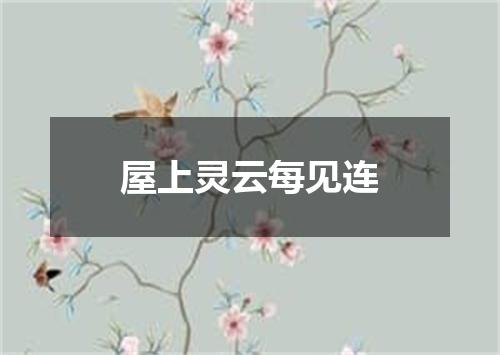 屋上灵云每见连