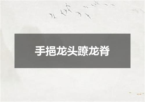 手挹龙头蹽龙脊