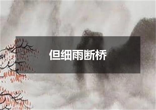 但细雨断桥