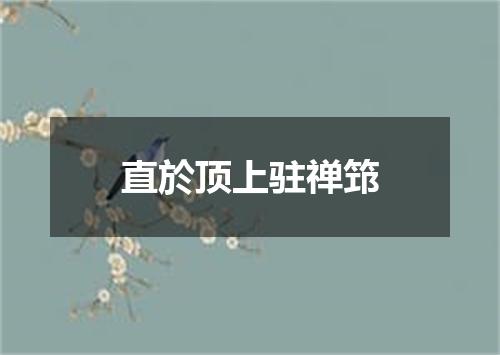 直於顶上驻禅筇