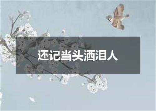 还记当头洒泪人