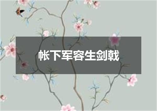 帐下军容生剑戟