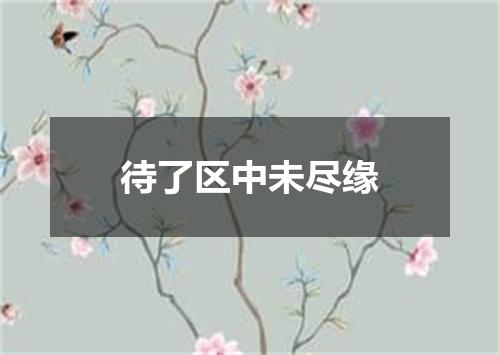 待了区中未尽缘