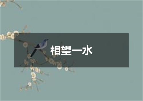 相望一水
