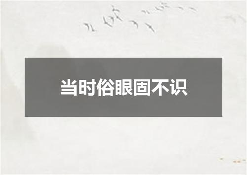 当时俗眼固不识