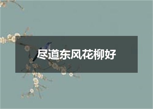 尽道东风花柳好