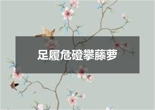足履危磴攀藤萝