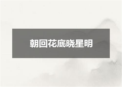 朝回花底晓星明