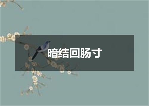 暗结回肠寸