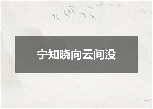 宁知晓向云间没