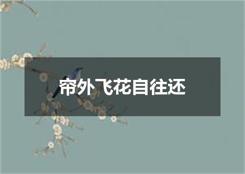 帘外飞花自往还