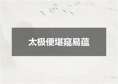 太极便堪窥易蕴